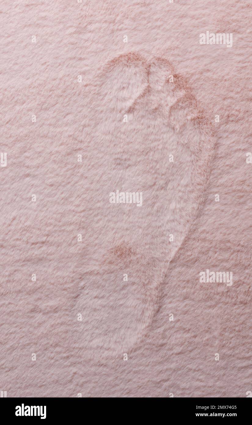 Traccia del gradino umano su soffice tappeto rosa sopra la vista dall'alto Foto Stock