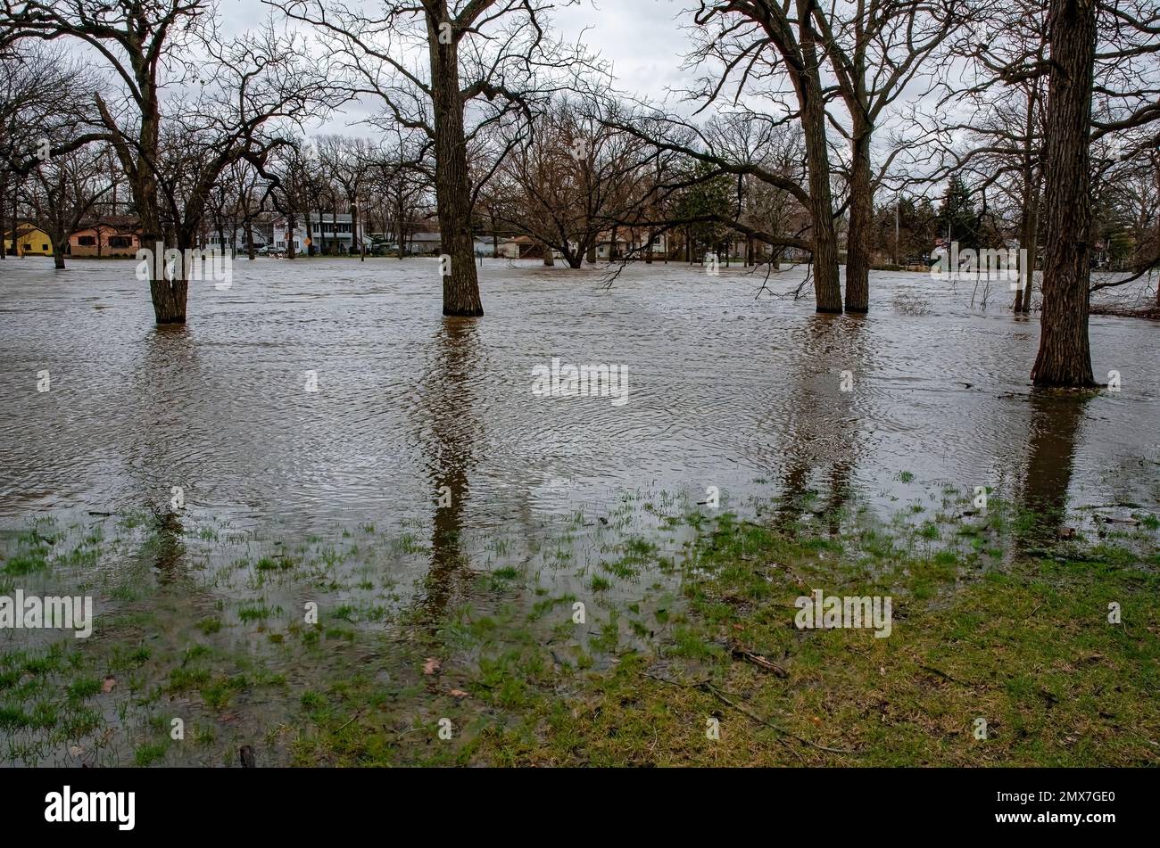 Il fiume DuPage, che attraversa Shorewood, Will County, Illinois, è inondato da una rara pioggia di venti anni. Foto Stock