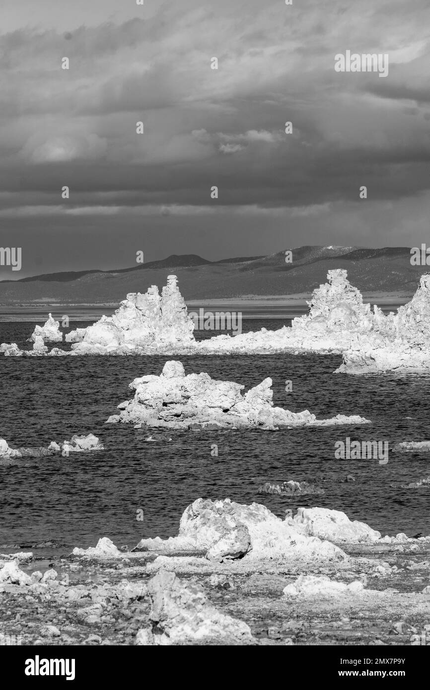 Incredibili formazioni di tufo, Mono Lake, California Foto Stock