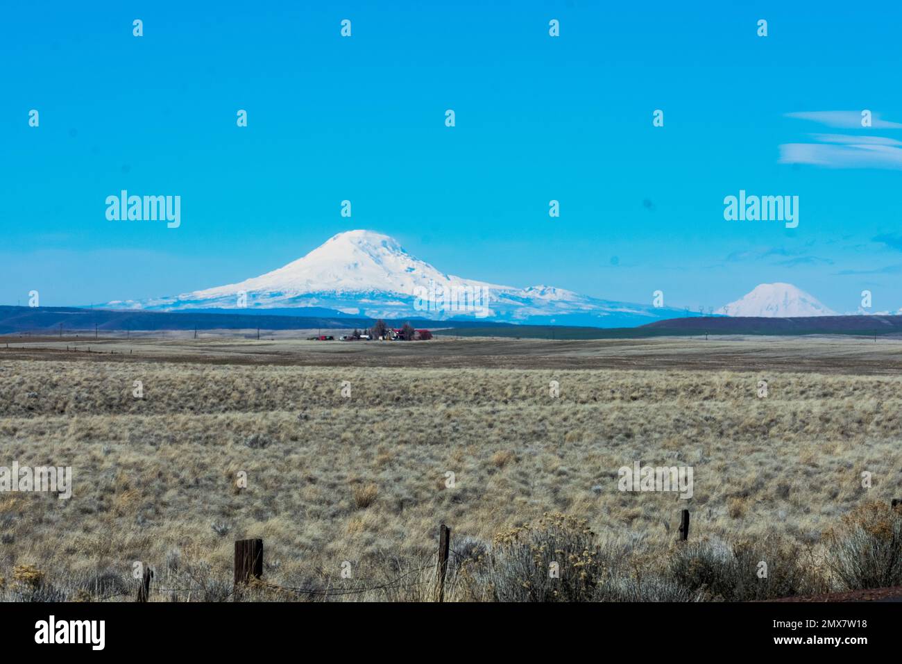 Bella Mount Adams e Mount Rainier, Washington, Stati Uniti Foto Stock