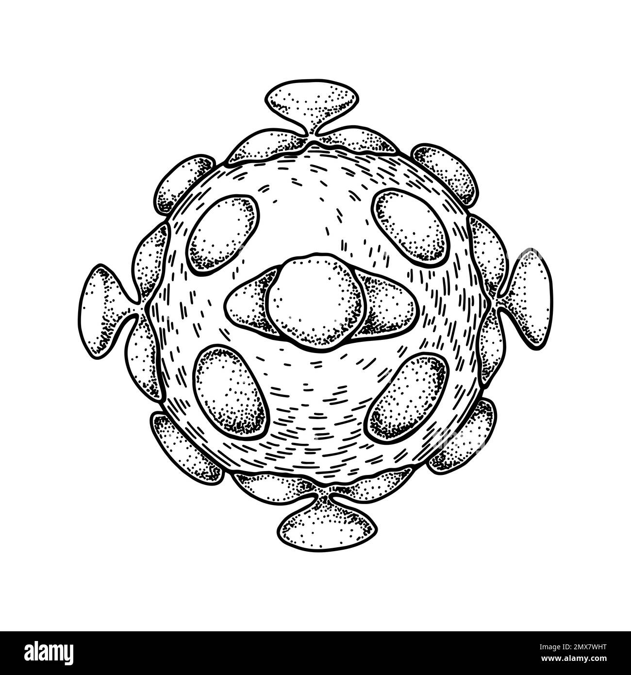 Astrovirus disegnato a mano isolato su sfondo bianco. Rappresentazione vettoriale scientifica dettagliata e realistica in stile di schizzo Illustrazione Vettoriale
