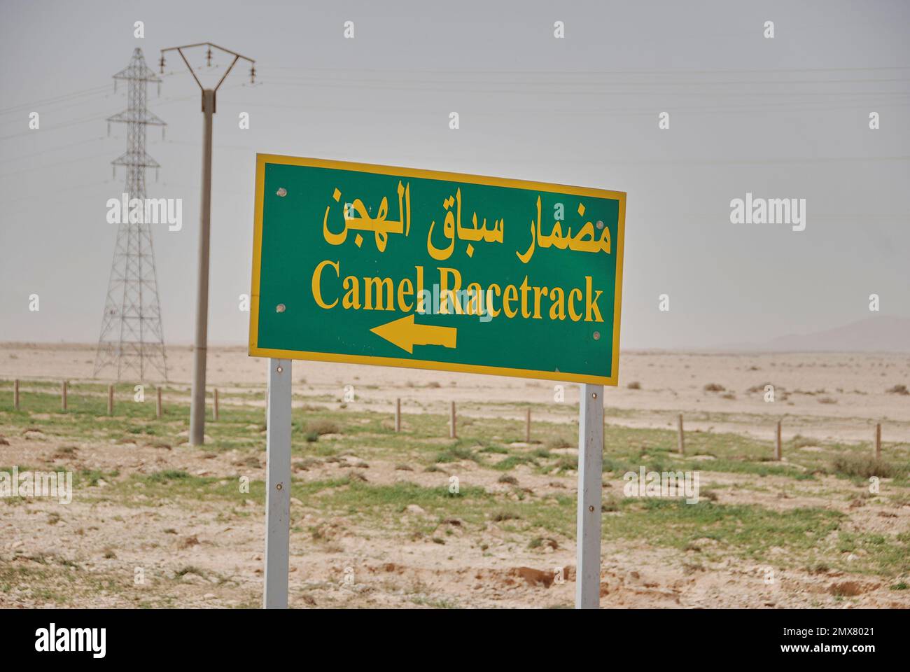 cartello verde e giallo con lettere arabien che dicono la pista di cammello nel deserto siriano Foto Stock