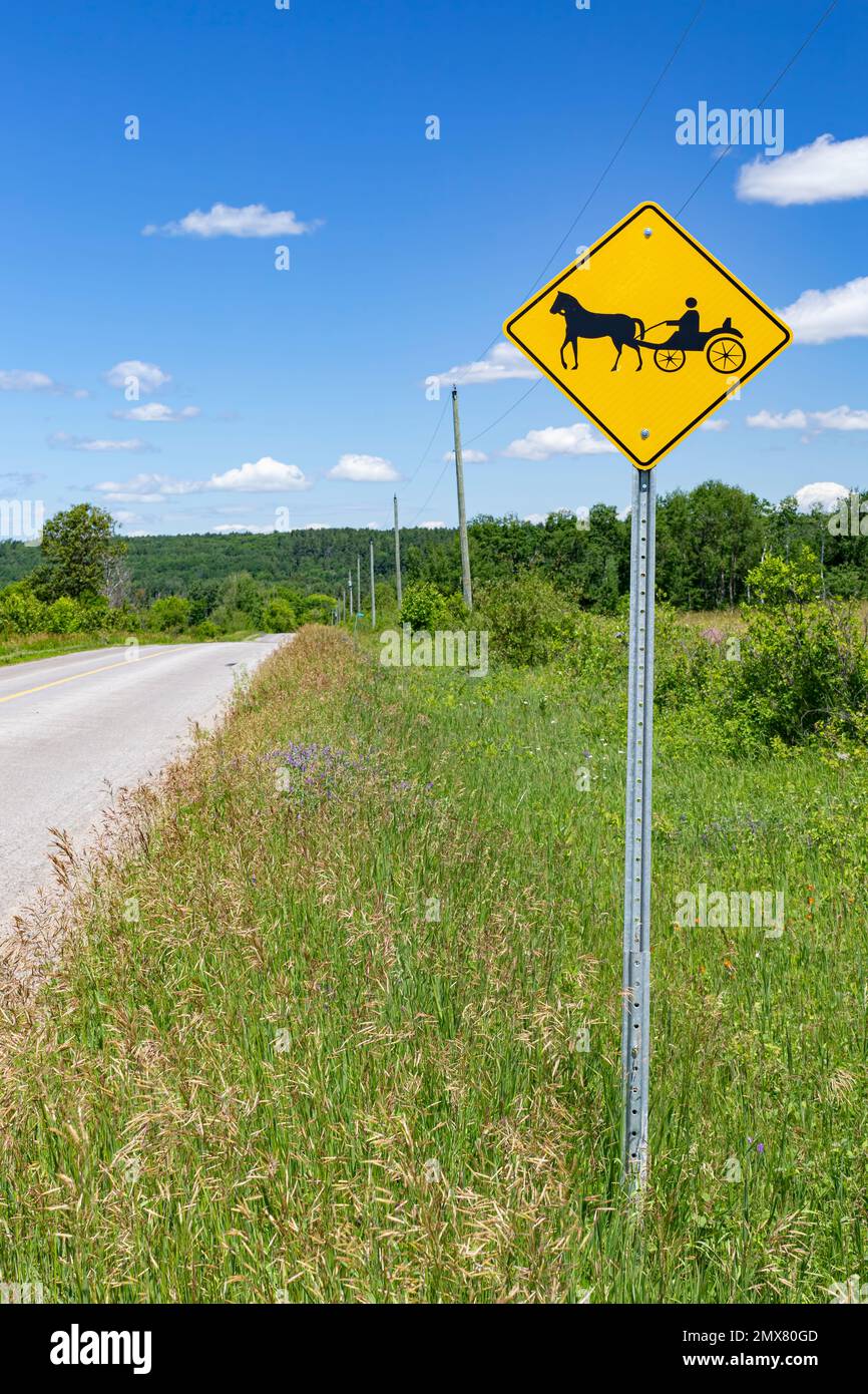 Questo segno nell'Ontario rurale ci ricorda che non tutti i canadesi hanno adottato uno stile di vita moderno. Foto Stock