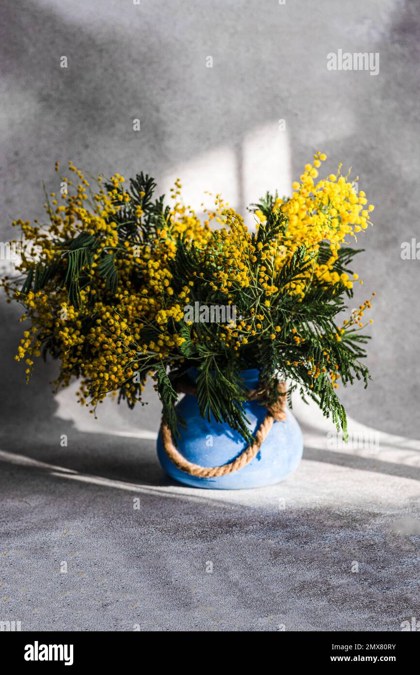 Vaso con fiori di mimosa giallo primavera in giornata di sole su tavola di pietra Foto Stock