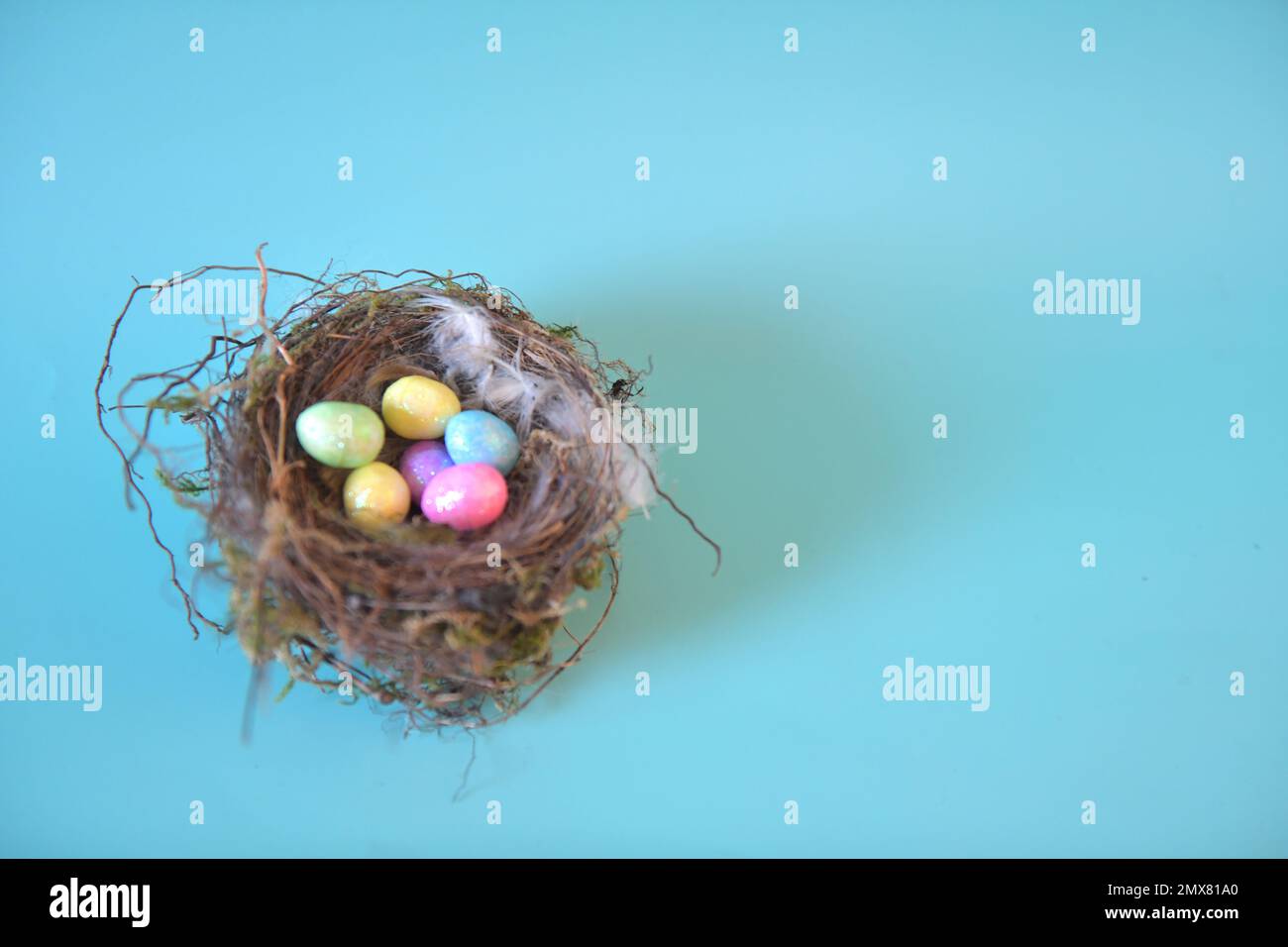 Uova di Pasqua colorate in vero nido di uccello. Foto orizzontale con spazio di copia a destra. Foto Stock