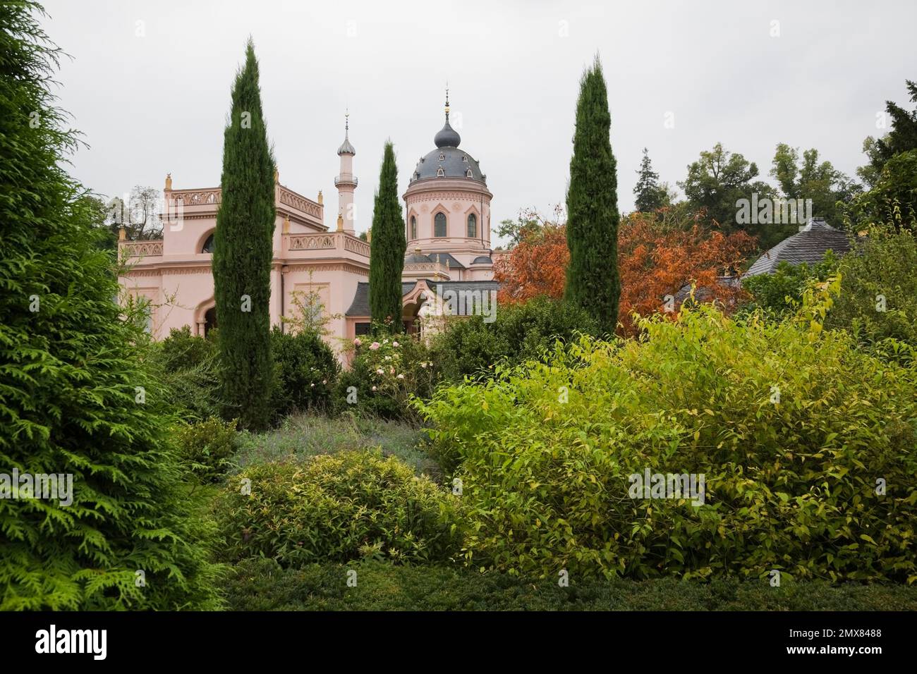 Topiario e rhus typhina 'Staghorn' - albero di Sumac in Rote Moschee Moschea in giardino turco a Palazzo Schwetzingen a fine estate, Schwetzingen, Germania. Foto Stock