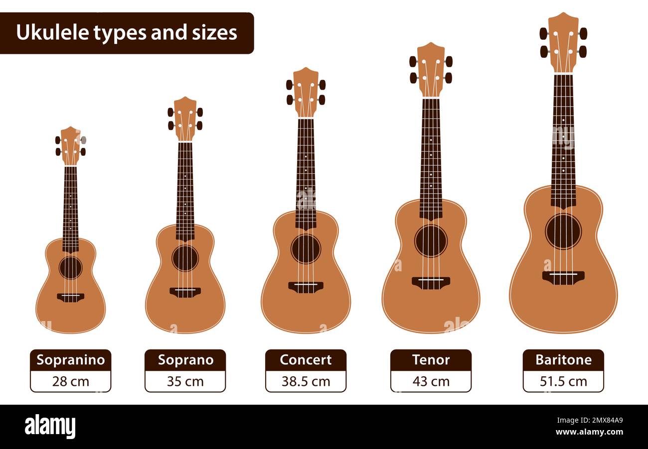 Confronto dimensioni Ukulele per bambini e professionisti in centimetri, poster vettoriale a diagramma piatto. Illustrazione Vettoriale