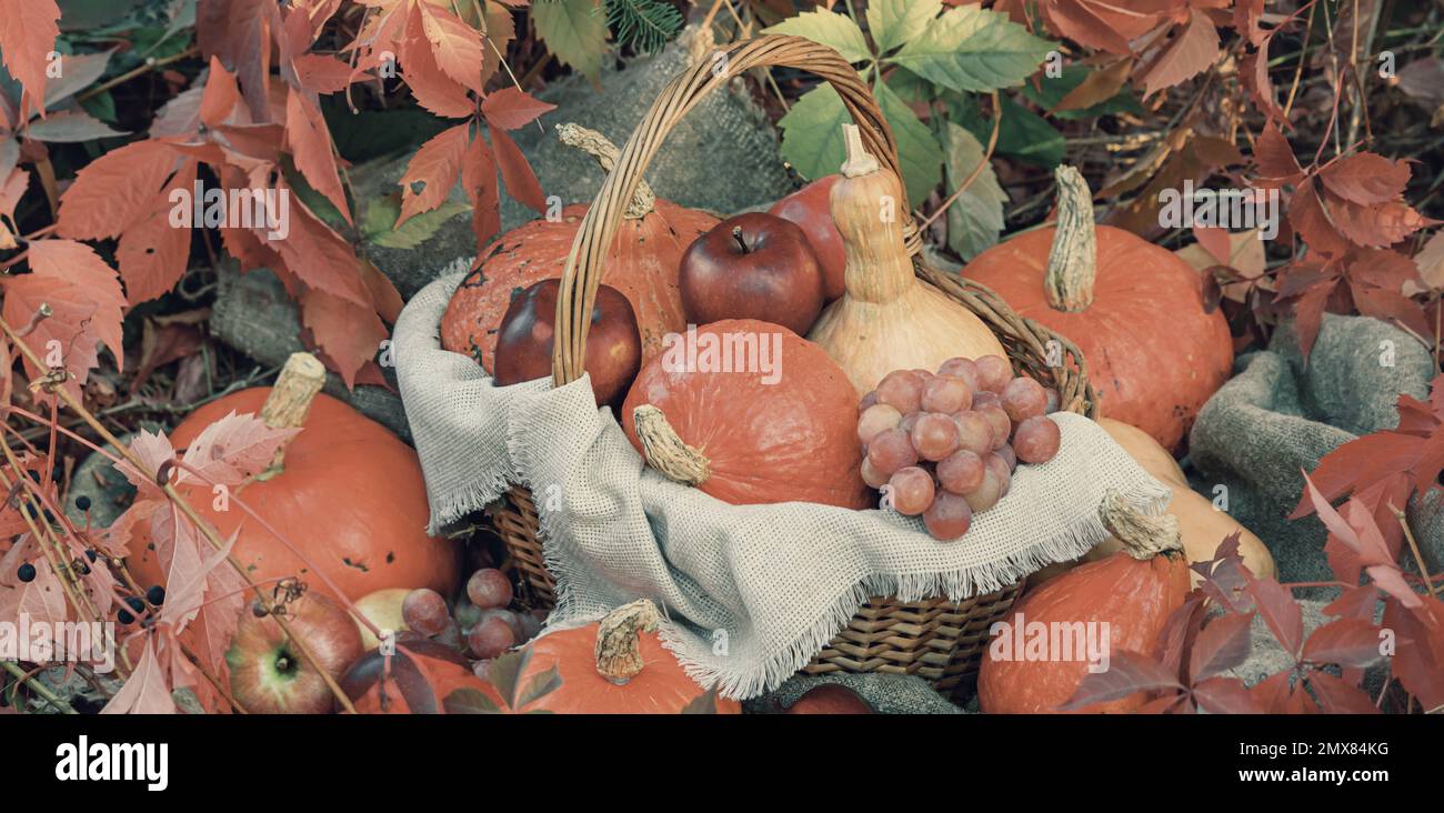 Composizione autunnale con zucche e uva su fondo di foglie rosse. Concetto di giorno del Ringraziamento o Halloween con spazio per il testo Foto Stock