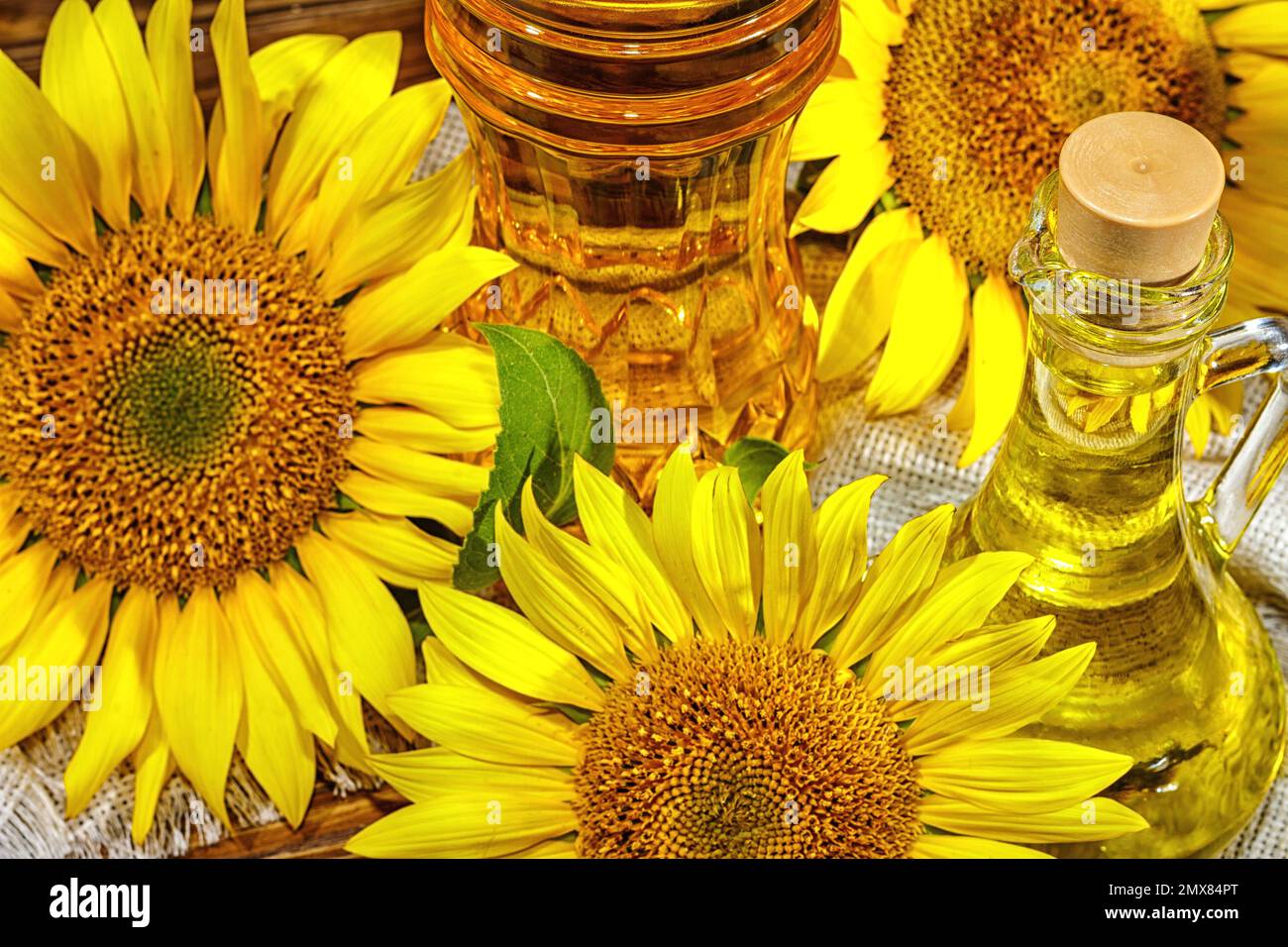 Natura morta rurale - olio di girasole in bottiglie con fiori di girasole (Helianthus annuus), closeup Foto Stock