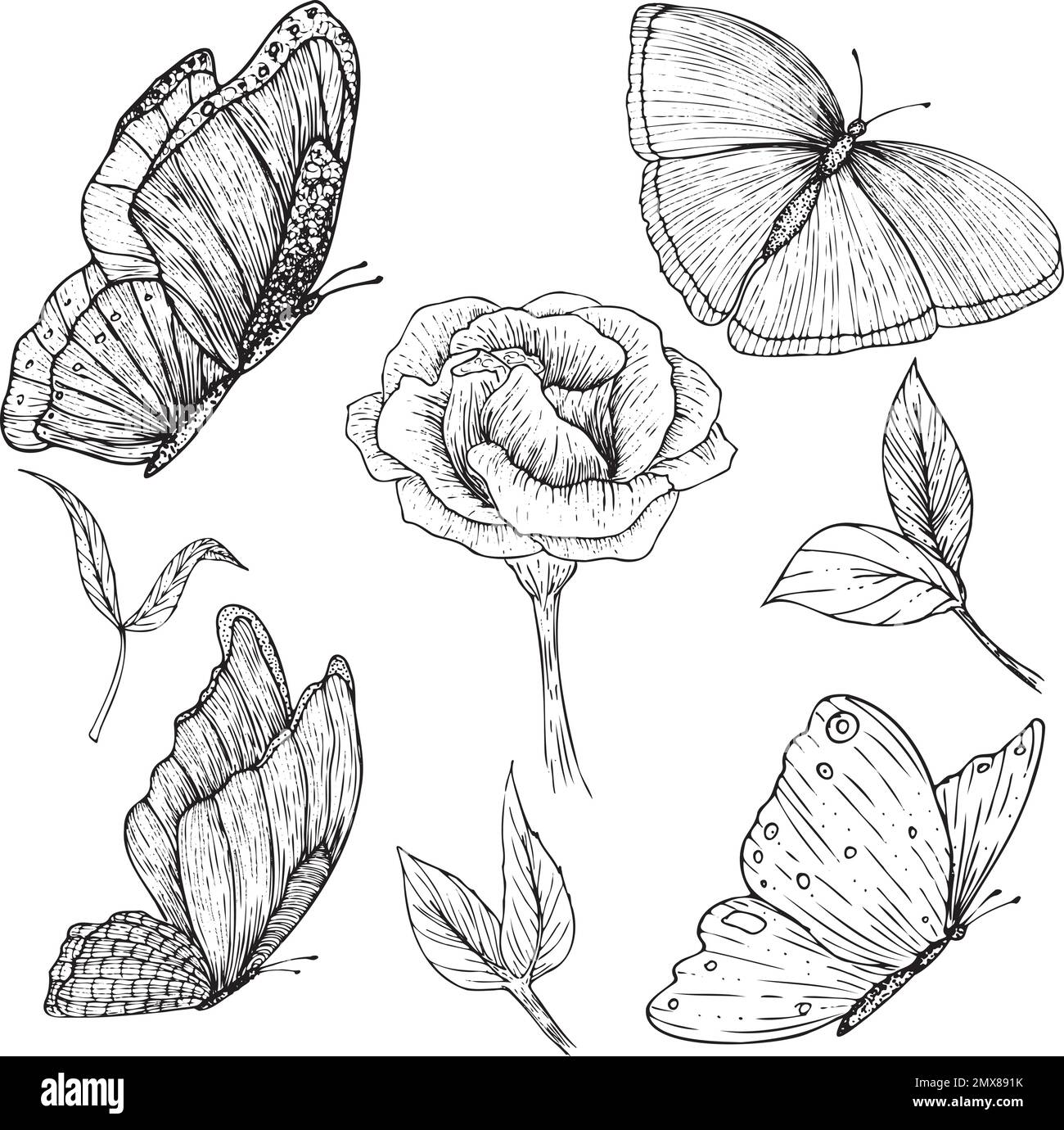 Set di illustrazioni vettoriali, eustoma, foglie e farfalle in stile schizzo, disegnate con inchiostro. Illustrazione Vettoriale
