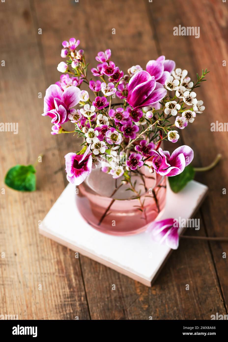 Vista dall'alto di un bel bouquet di fiori rosa, di cera bianca e di ciclamino viola in un vaso di vetro. Concetto di sistemazione floristica primaverile. Foto Stock