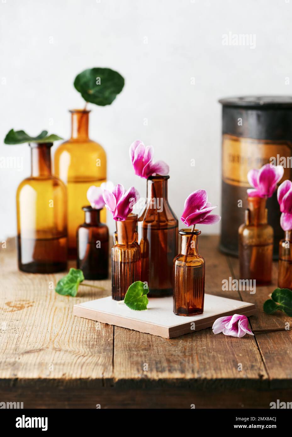 Allestimento fiorista con fiori e foglie di ciclamino rosa nelle vecchie bottiglie marroni della farmacia. Rustico arredamento floreale concetto. Messa a fuoco selettiva. Foto Stock