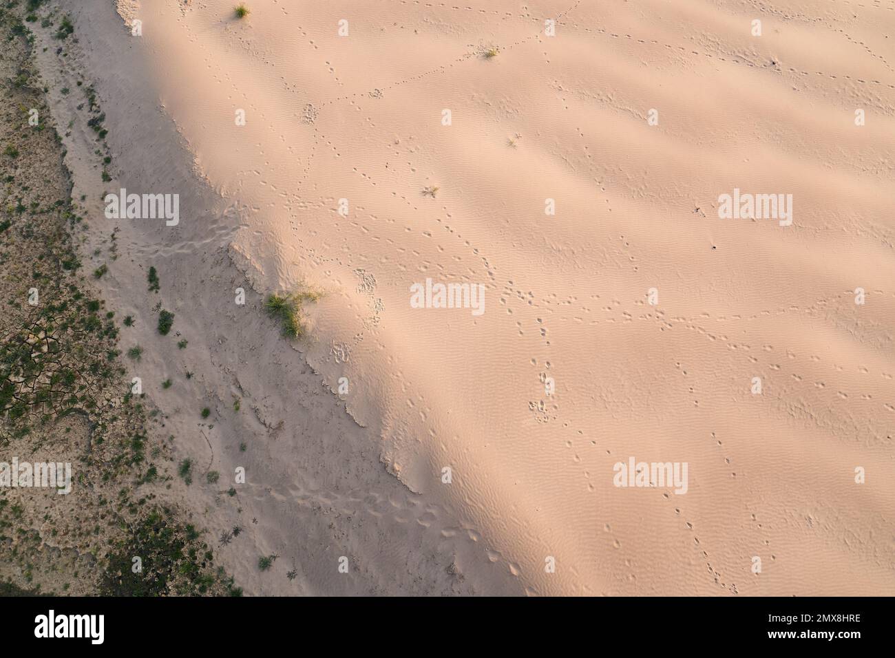 Vista dall'alto delle impronte che si tracciano su una duna di sabbia nel sud-est asiatico. Foto Stock