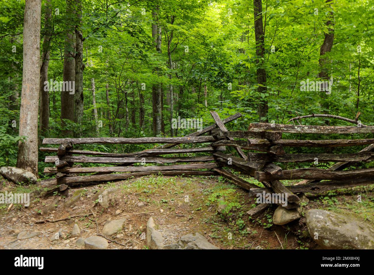 Storica recinzione ferroviaria divisa lungo il sentiero forestale lungo il Roaring Fork Motor Nature Trail, Great Smoky Mountains National Park, Tennessee, Stati Uniti. Foto Stock