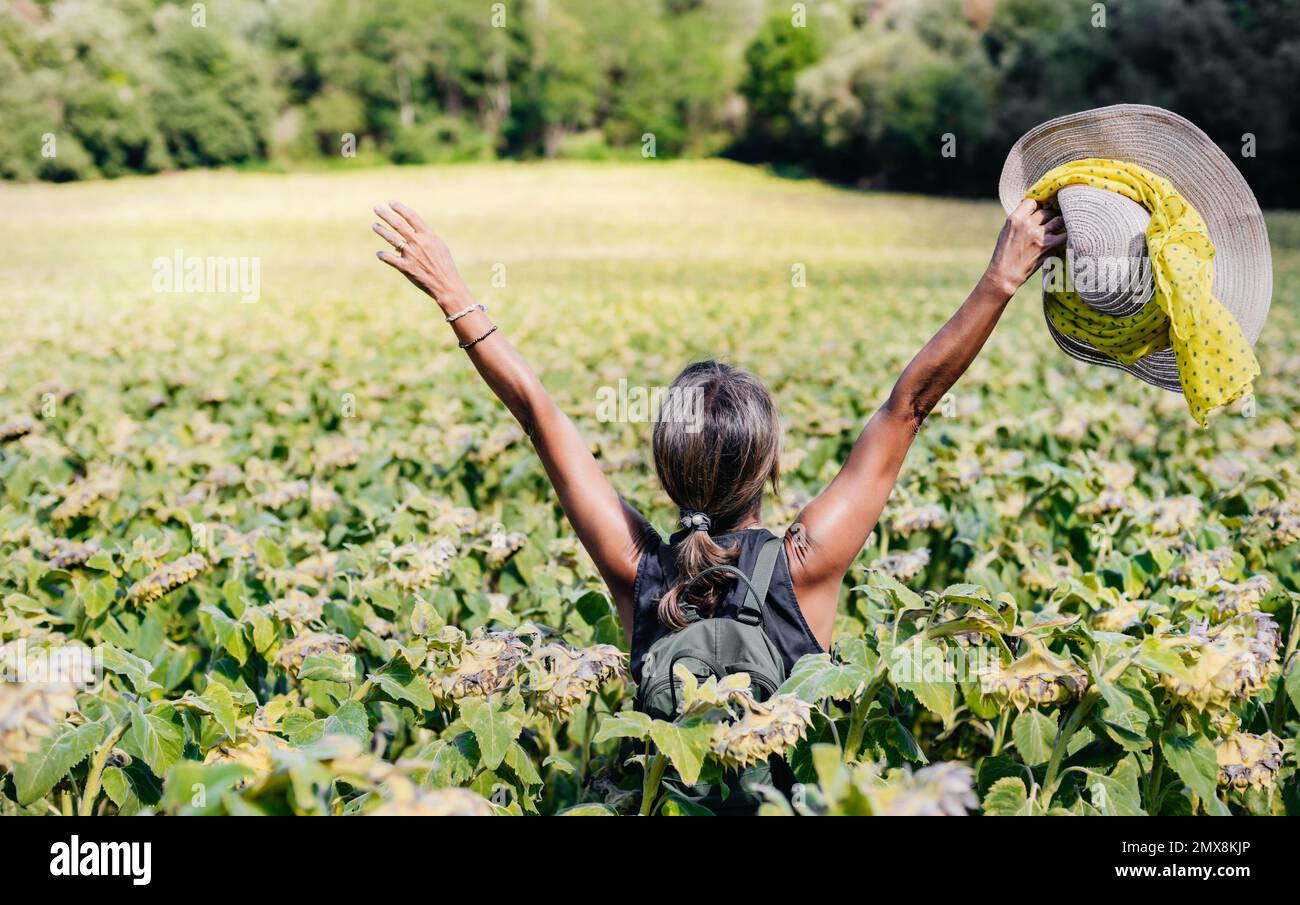 una donna sulla schiena con le braccia sollevate in un campo di girasoli. donna con cappello in mano. concetto di libertà e felicità. concetto di successo. Foto Stock