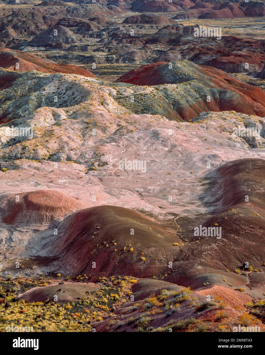 Deserto Dipinto, Parco Nazionale della Foresta Pietrificata, Arizona Foto Stock