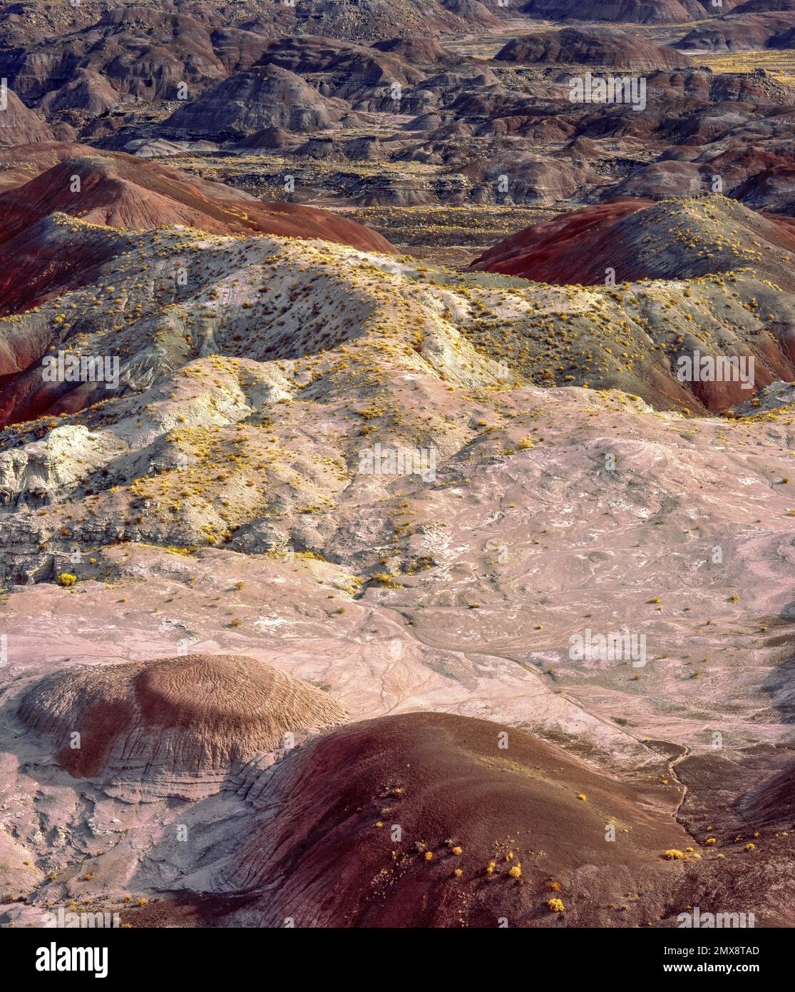 Deserto Dipinto, Parco Nazionale della Foresta Pietrificata, Arizona Foto Stock