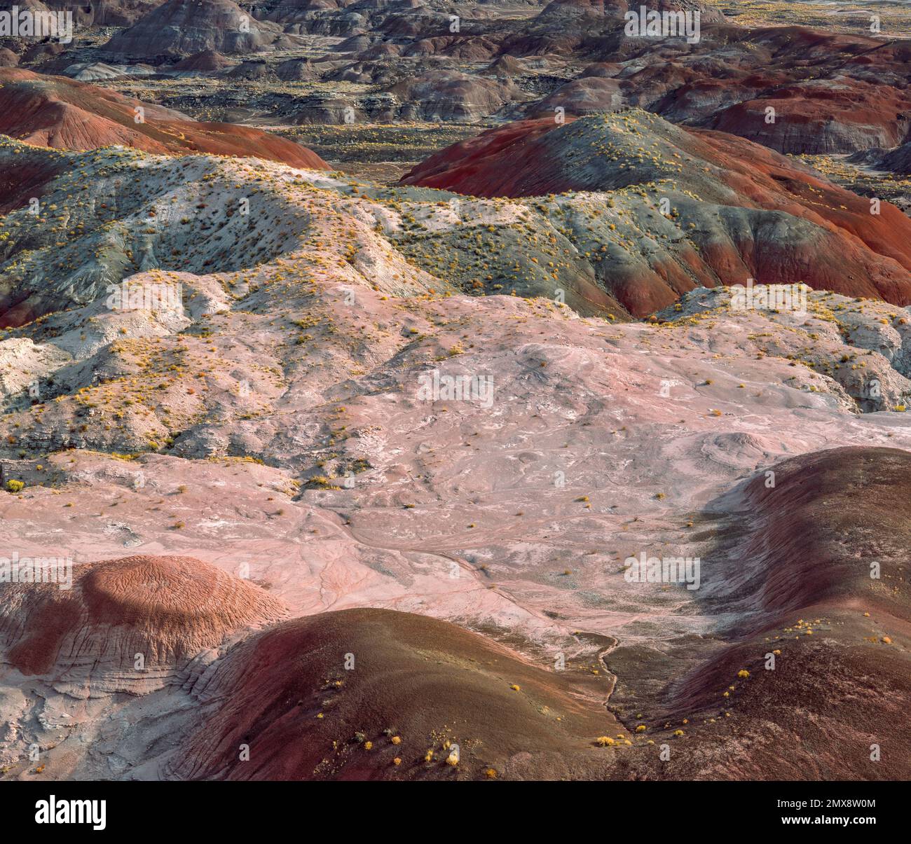 Deserto Dipinto, Parco Nazionale della Foresta Pietrificata, Arizona Foto Stock