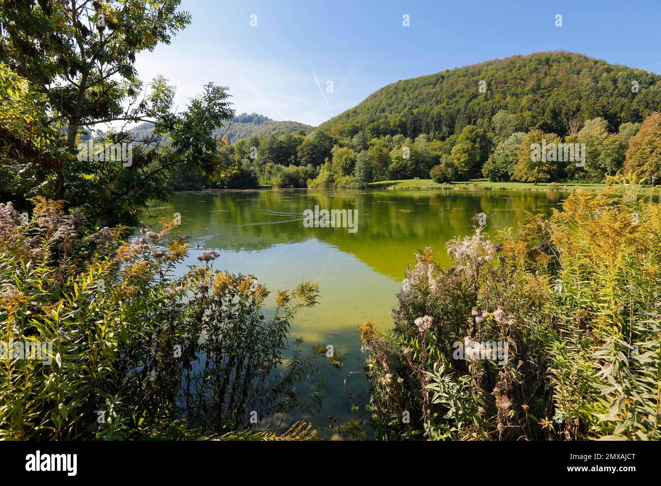Sentiero natura tufo calcareo immagini e fotografie stock ad alta ...
