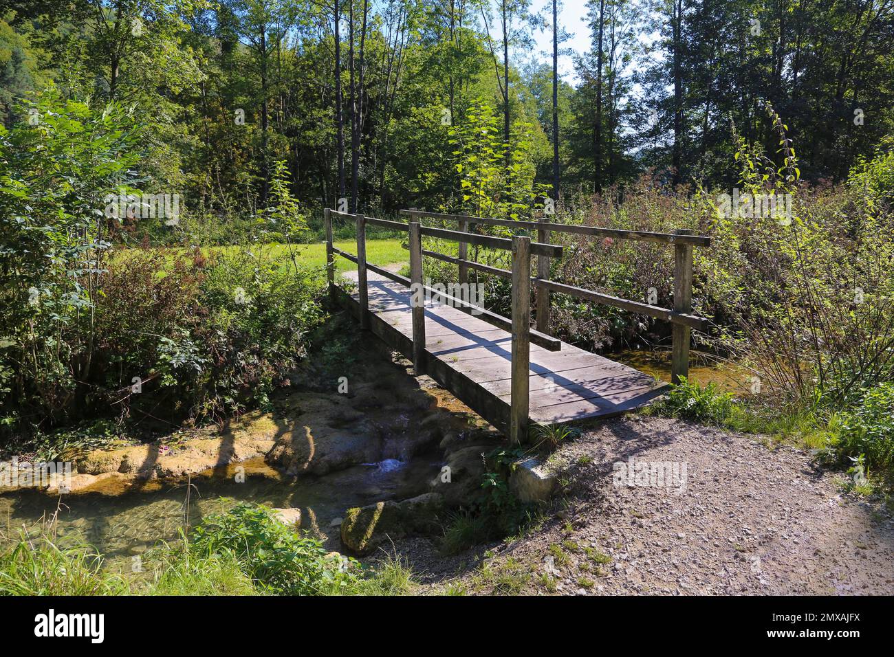 Paesaggio di tufo calcareo, percorso naturalistico di tufo calcareo, ponte in legno ai laghi di Goenninger, Reutlingen Goenningen, Wiesaztal, Baden-Wuerttemberg Foto Stock