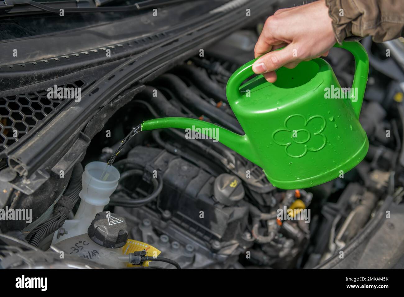 Riempimento, acqua del parabrezza, vano motore, vettura Foto Stock