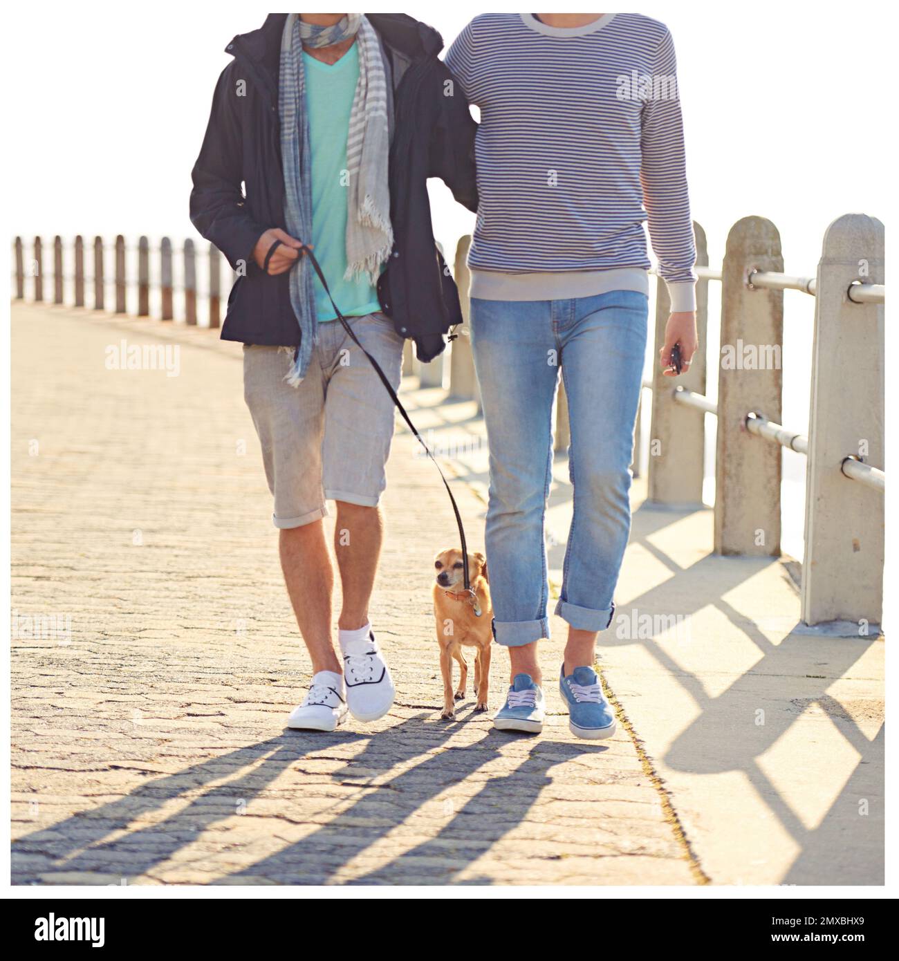 Im prendere questi ragazzi per una passeggiata. una giovane coppia gay che si gode una passeggiata sul lungomare con il proprio cane. Foto Stock