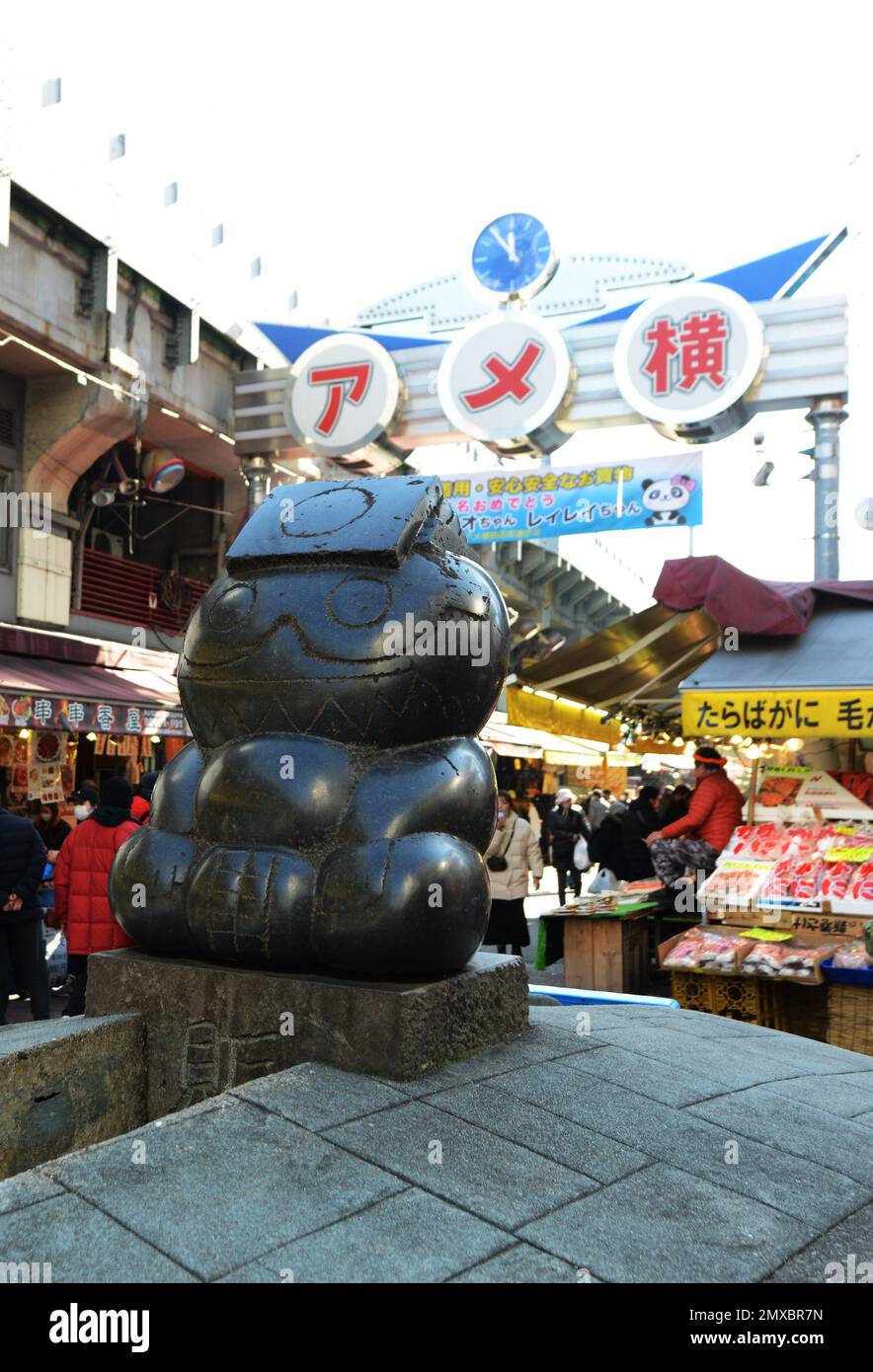 Ameya-Yokocho e' un vivace mercato di strada che corre lungo i binari ferroviari tra la Stazione JR di Ueno e la Stazione di Okachimachi., Tokyo, Giappone. Foto Stock