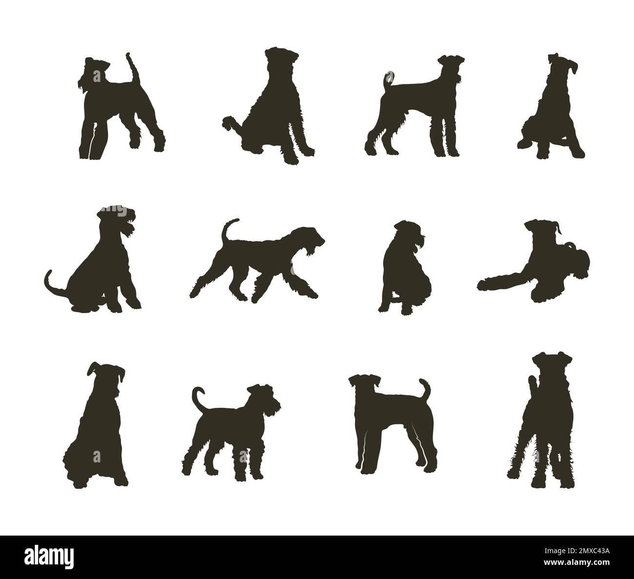 Silhouette Airedale per cani, silhouette Airedale per cani Illustrazione Vettoriale