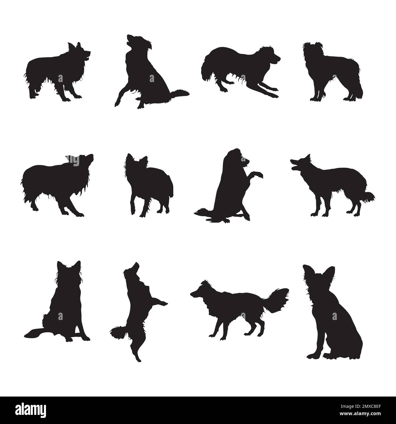 Silhouette border collie dog, collezione border collie silhouette Illustrazione Vettoriale