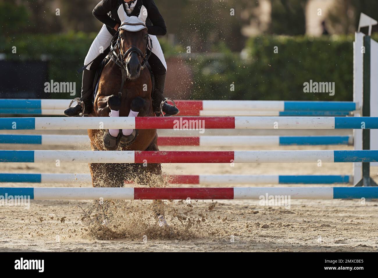 Sport cavallo saltando su una barriera su un ostacolo Foto Stock