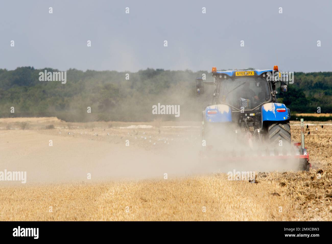 Nel Parham Rural Suffolk un trattore blu che fa una nube di polvere che deriva si allontana dalla telecamera Foto Stock