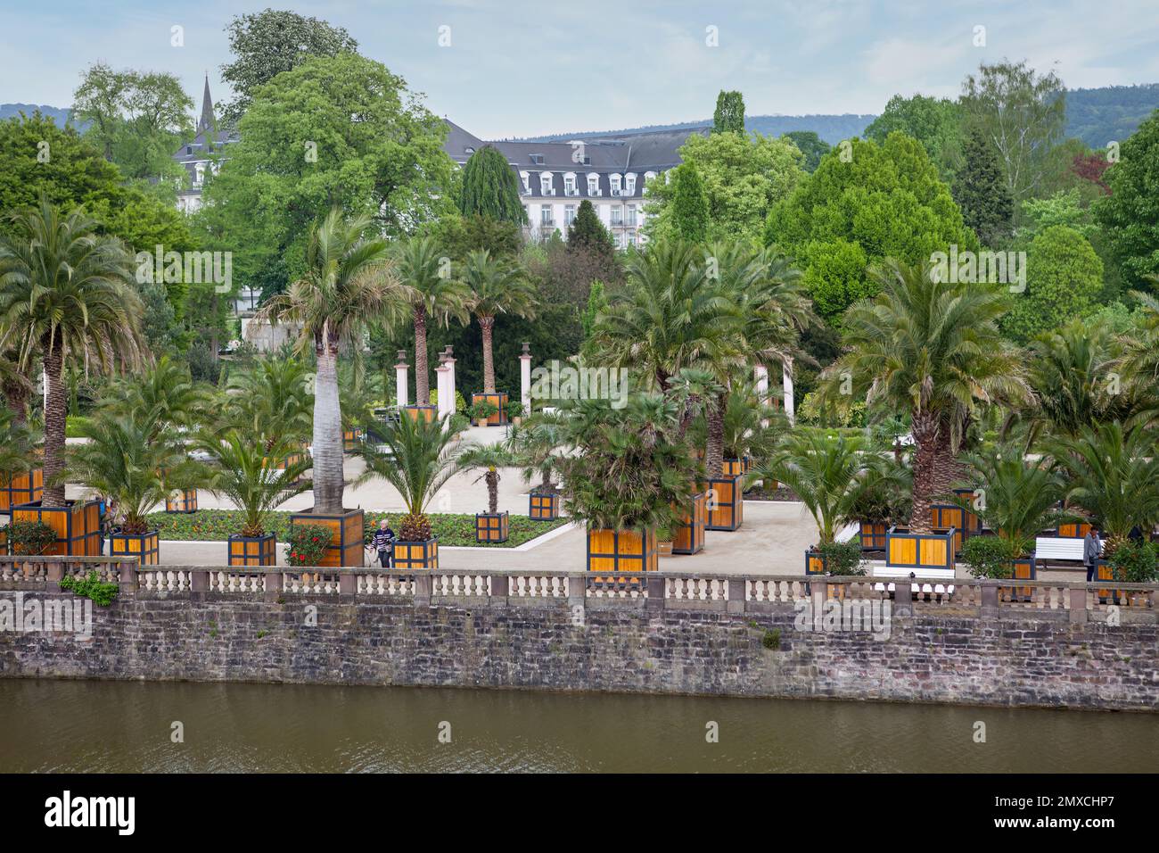 Il giardino di palme, Bad Pyrmont, distretto di Hamelin-Pyrmont, bassa Sassonia, Germania Foto Stock