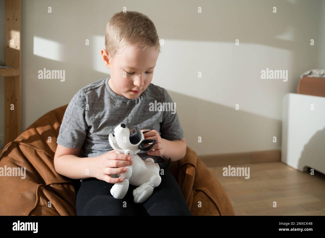 Ragazzo che gioca con il cane robotico, legame Foto Stock