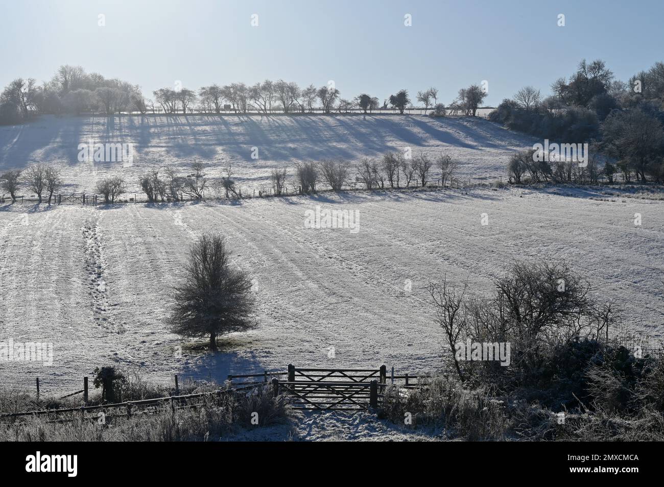 Campi con sole invernale che mostrano i resti di un vecchio modello di campo di crinale e solco nel villaggio nord dell'Oxfordshire di Hook Norton Foto Stock