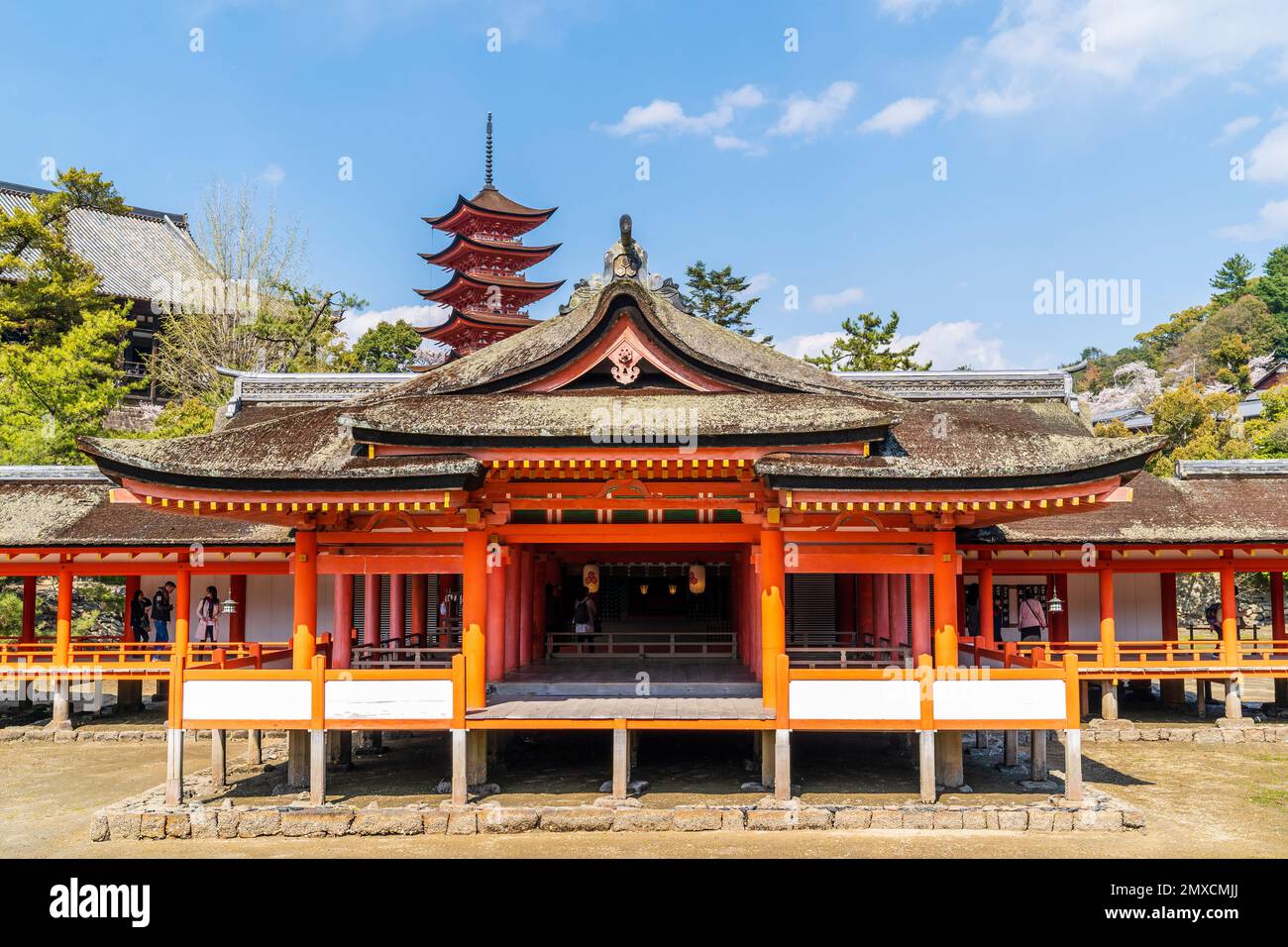 Il lato di Seaward del vermiglio colorato Miyajima Itsukushima Santuario a bassa marea. Cielo blu in primavera con pagoda Gojunoto sullo sfondo. Foto Stock