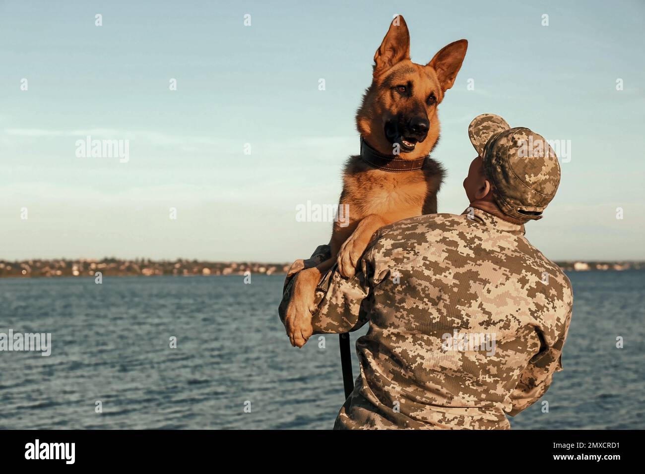 Uomo in uniforme militare con cane pastore tedesco all'aperto Foto Stock