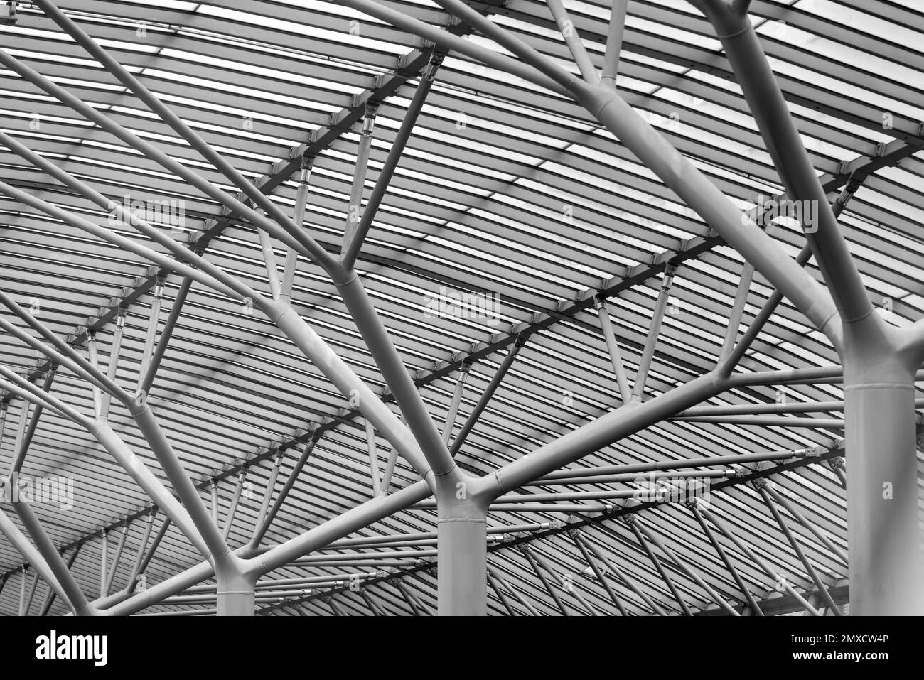 Dettaglio del telaio completo che mostra la sottostruttura di un tetto metallico moderno Foto Stock