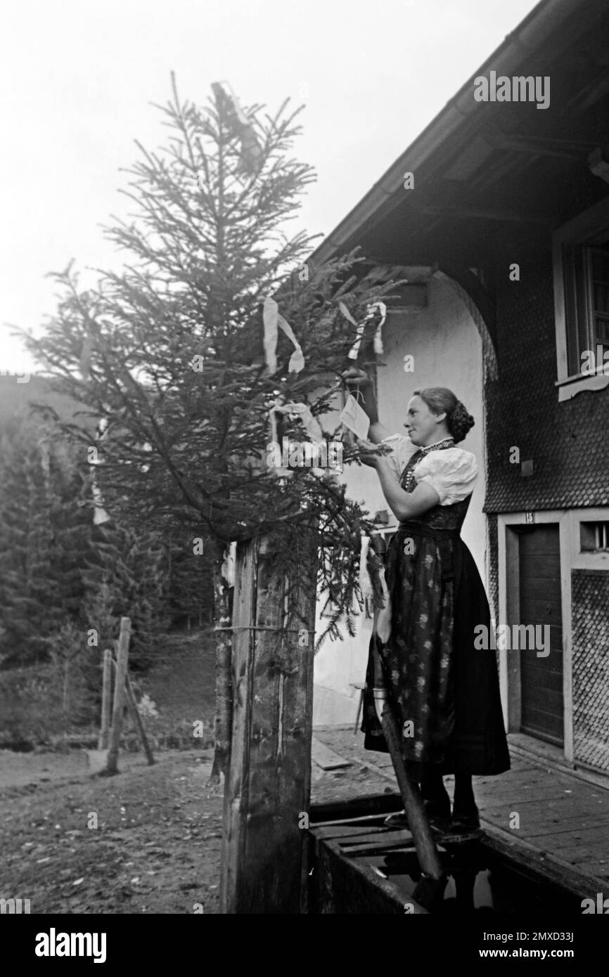 Junge Frau sucht nach dem an sie gerichteten Brief im Maibaum, 1938. Giovane donna in cerca della lettera indirizzata a lei nella maypole, 1938. Foto Stock