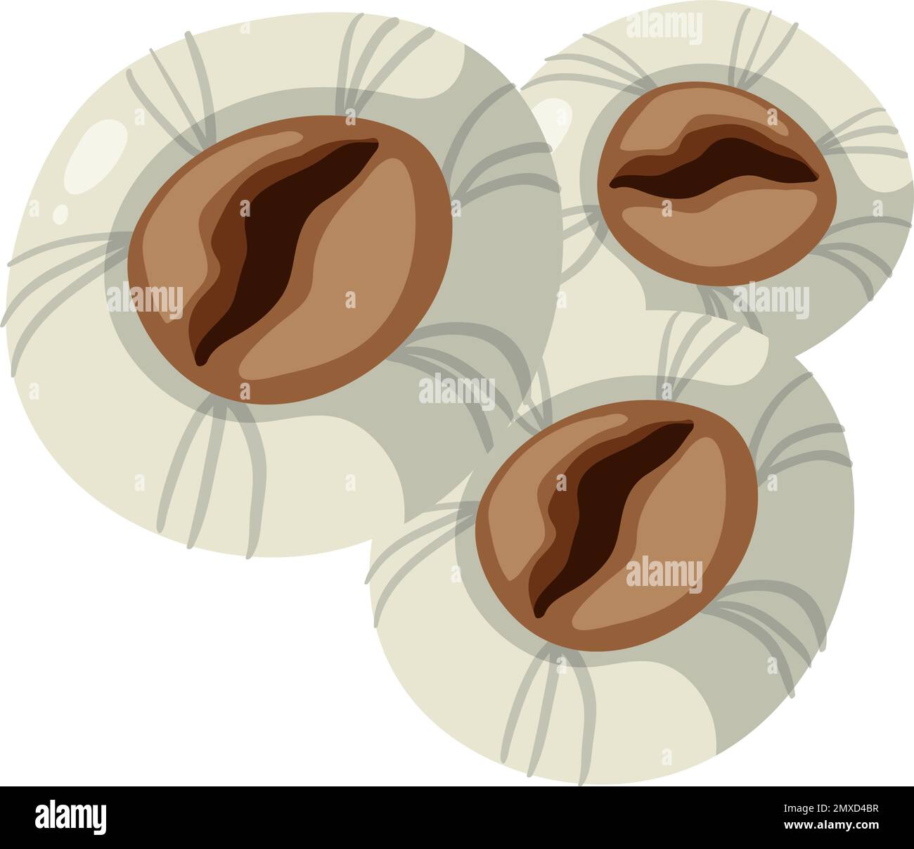 Barnacles isolato roccia riva animale illustrazione Illustrazione Vettoriale