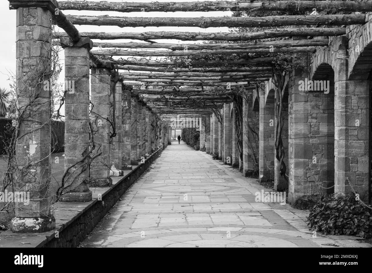 Pergola Walkway , Castello di Hever, Kent, Regno Unito Foto Stock