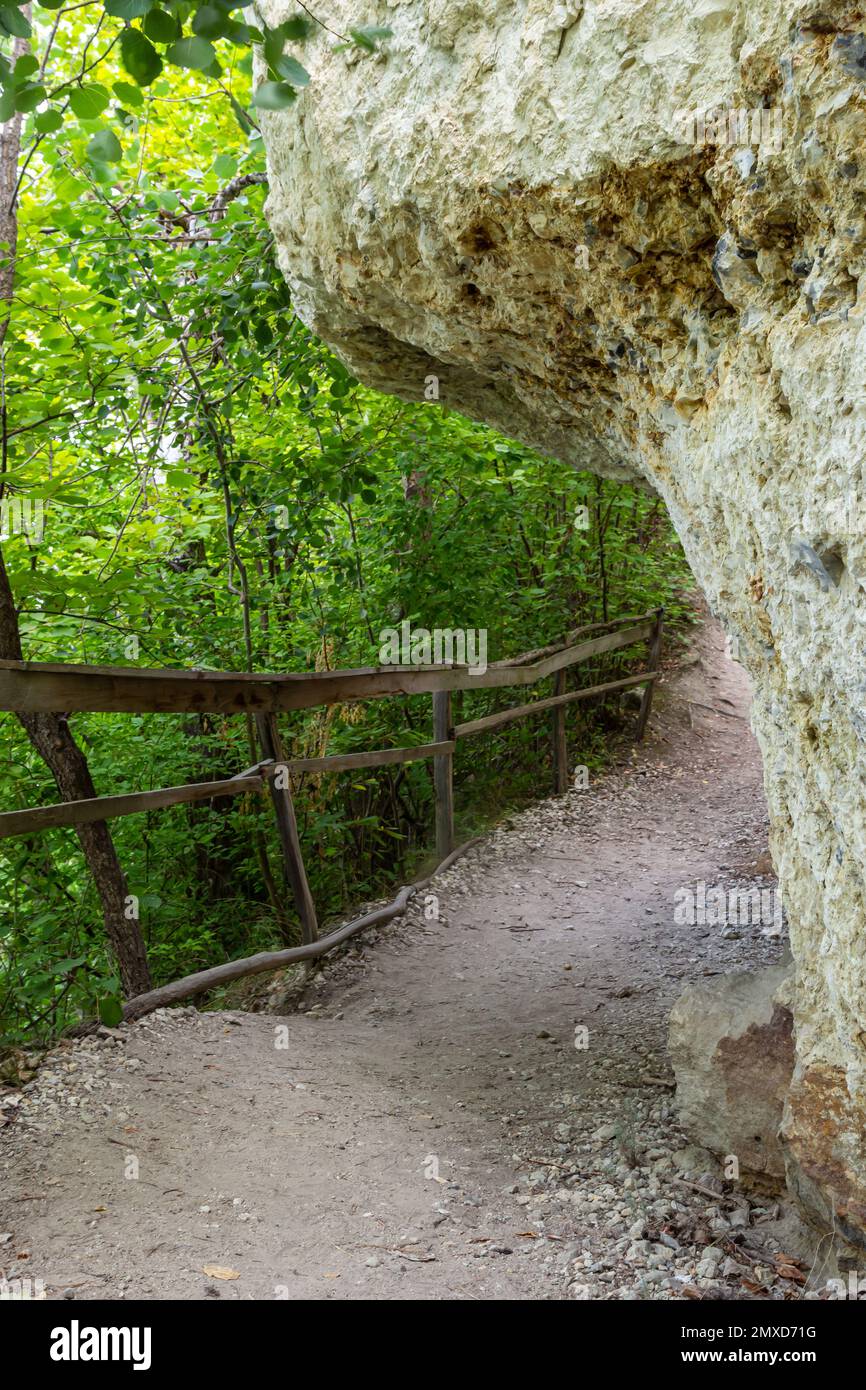 Lungo sentiero attrezzato con scalini di ghiaia e corrimano in legno per i turisti in soleggiata foresta estiva. Percorso escursionistico vuoto nella riserva naturale del parco Foto Stock