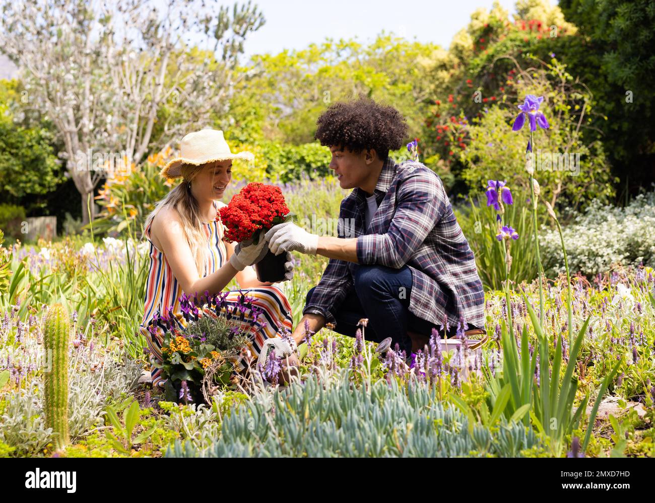 Felice coppia diversi giardinaggio, piantando fiori in giardino soleggiato Foto Stock