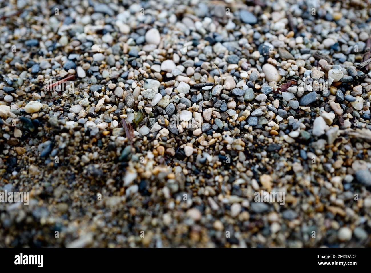 Un primo piano di terreno ghiaioso Foto Stock