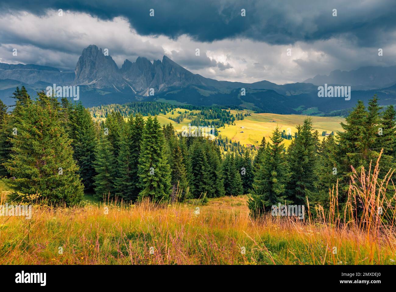 Spettacolare paesaggio alpino. Vista mattutina piovosa del villaggio di Compaccio, località Alpe di Siusi o Alpe di Siusi, Italia, Europa. Fantastica scena estiva di Dolomit Foto Stock