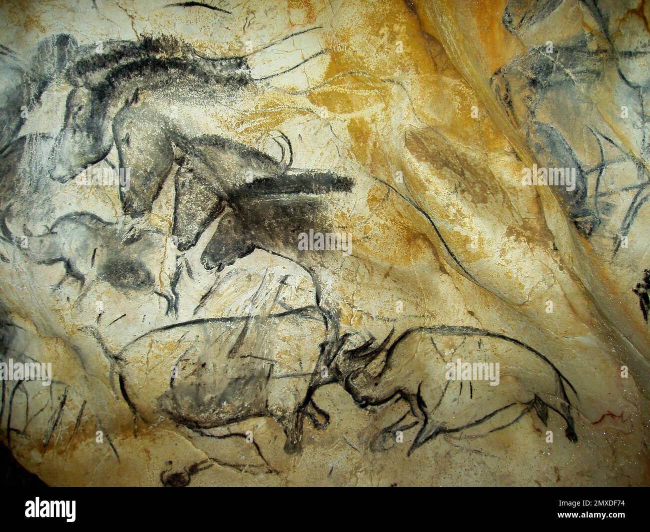 Pittura nella grotta Chauvet. Museo: Grotte Chauvet. Autore: arte del Paleolitico superiore. Foto Stock