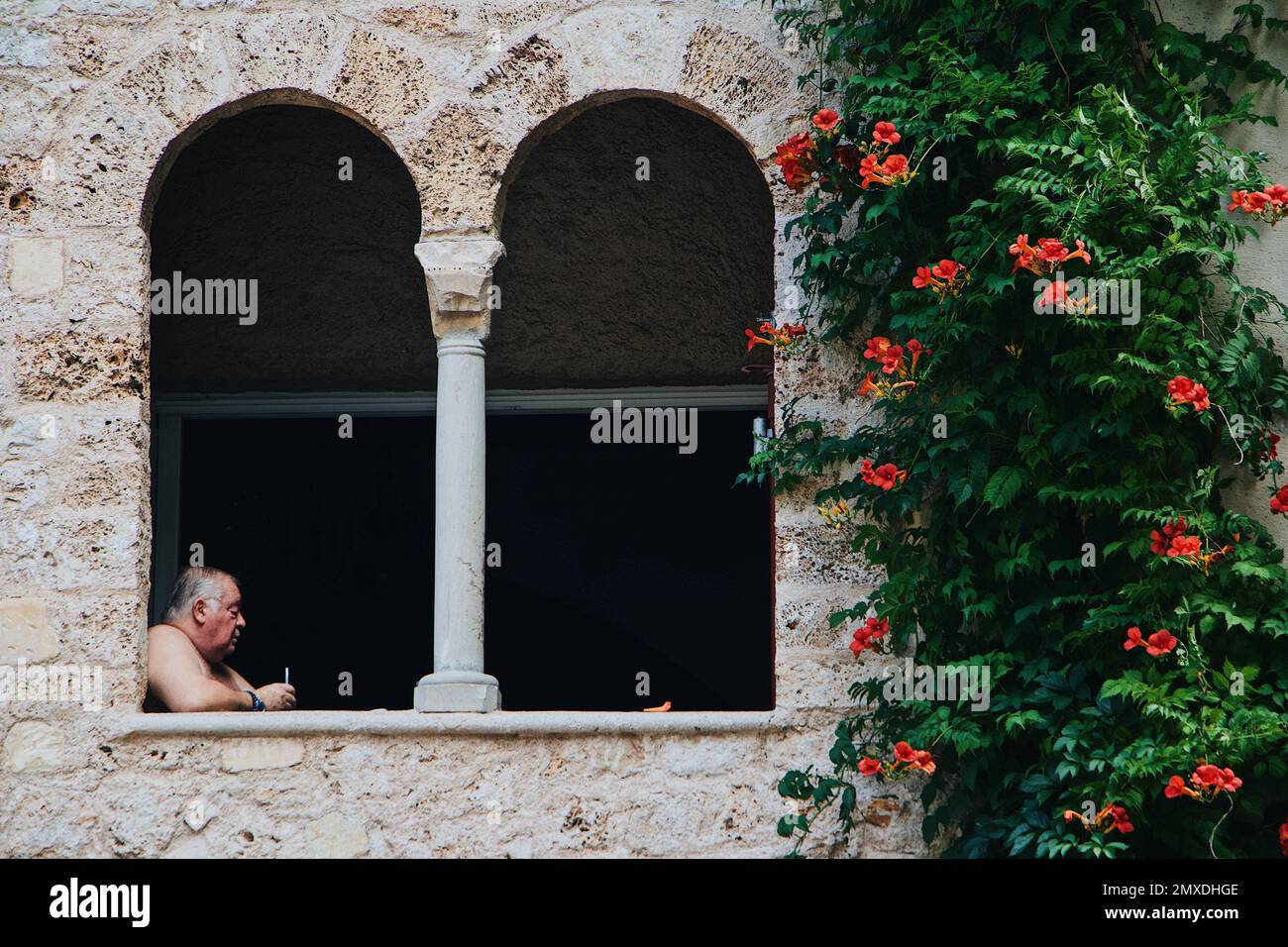 Una vista di un vecchio uomo seduto nell'edificio un albero verde su un muro. Foto Stock