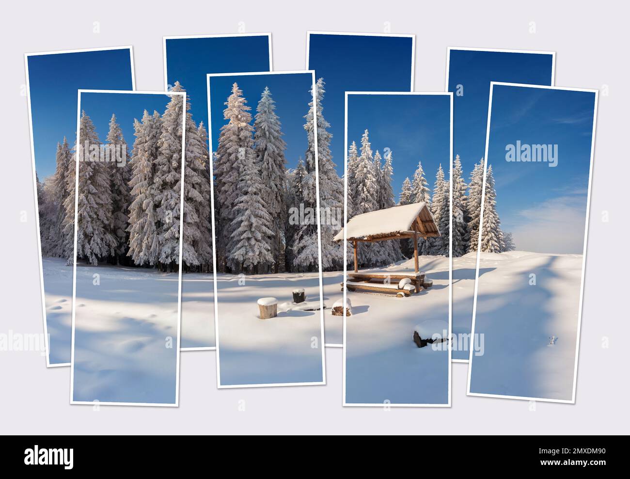 Isolato otto cornici collage di foto della fiaba invernale scena dopo enorme nevicata nella valle di montagna. Gelida vista mattutina del monte Carpazi Foto Stock