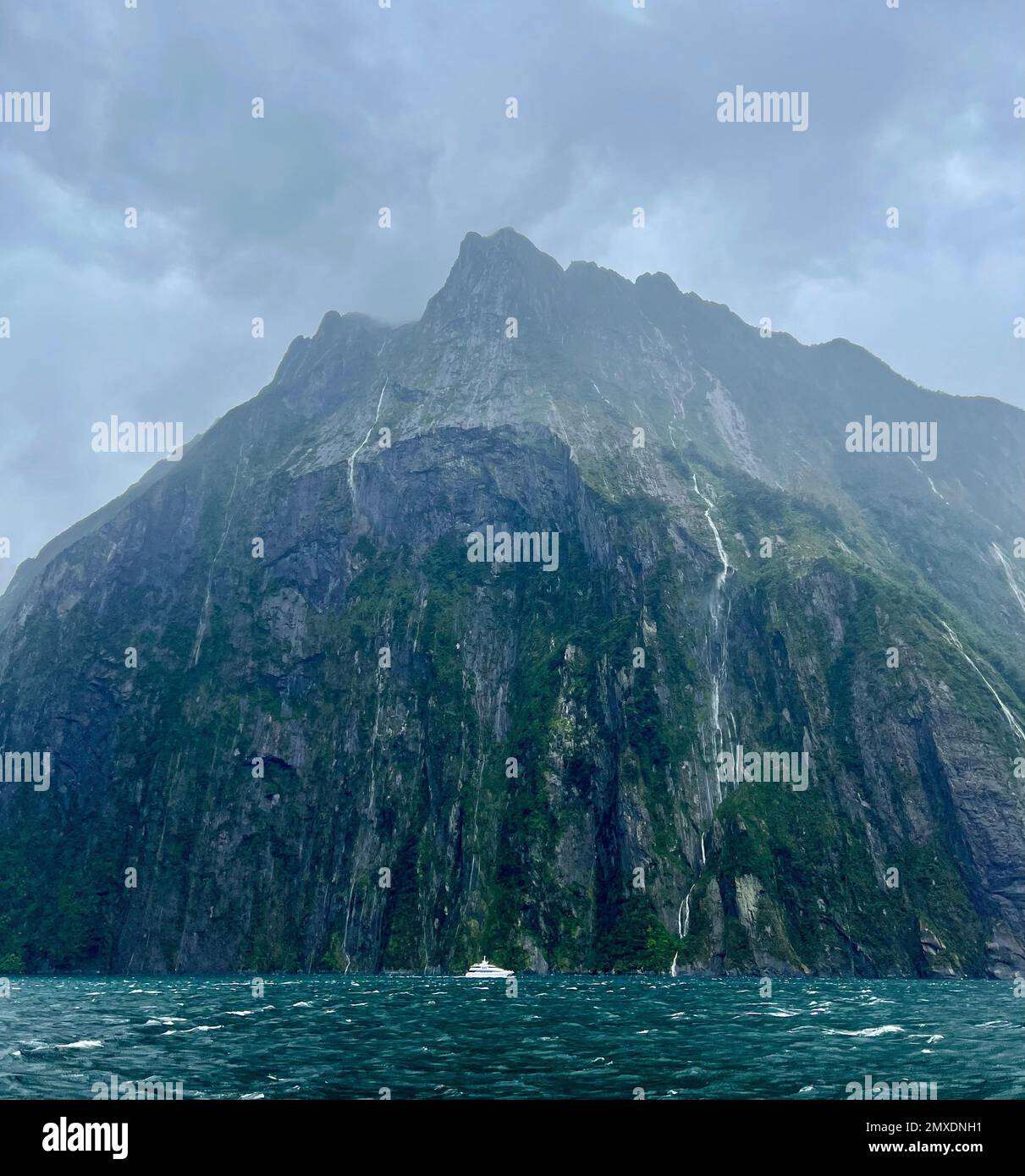 Un paesaggio ipnotico di scogliere boscose tra le nuvole catturate dal mare in Nuova Zelanda Foto Stock
