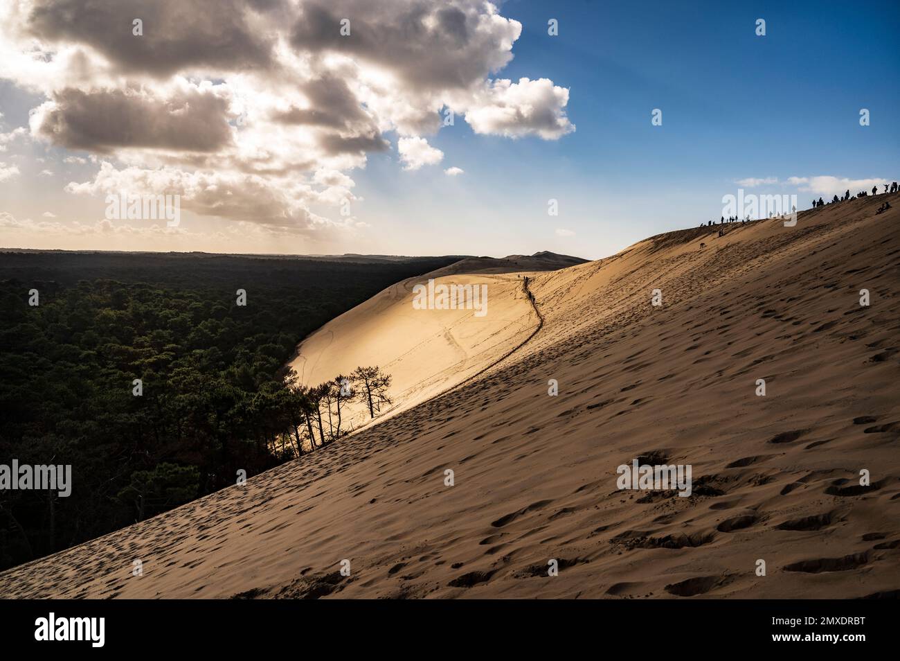La duna del Pilat sulla costa atlantica di Nouvelle-Aquitaine è la collina di sabbia più alta d'Europa con 103 metri, nel sud-ovest della Francia Foto Stock