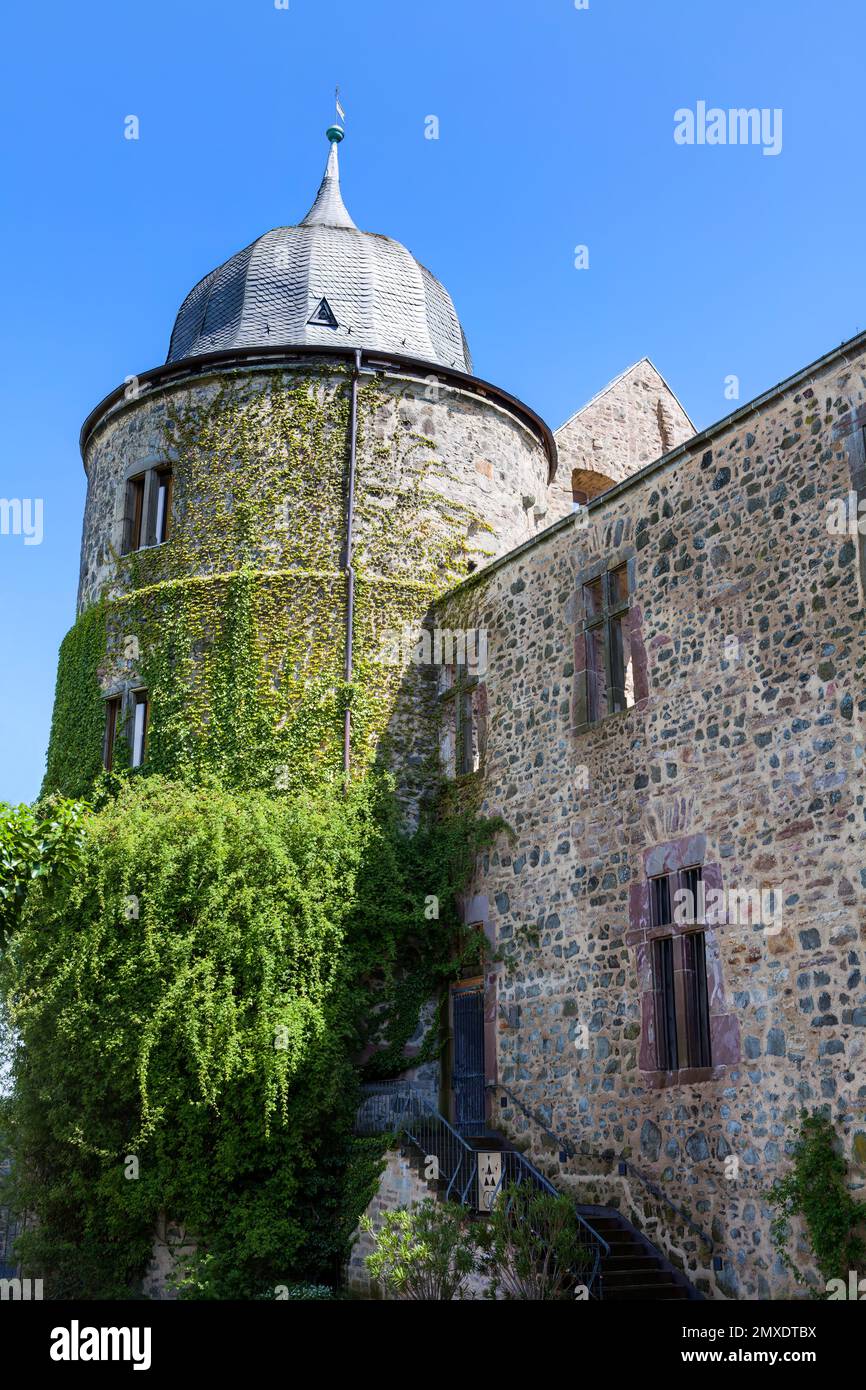 Castello di Sababurg, Hofgeismar, Weser Uplands, Weserbergland, Assia, Germania Foto Stock